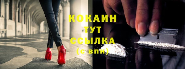 индика Лихославль