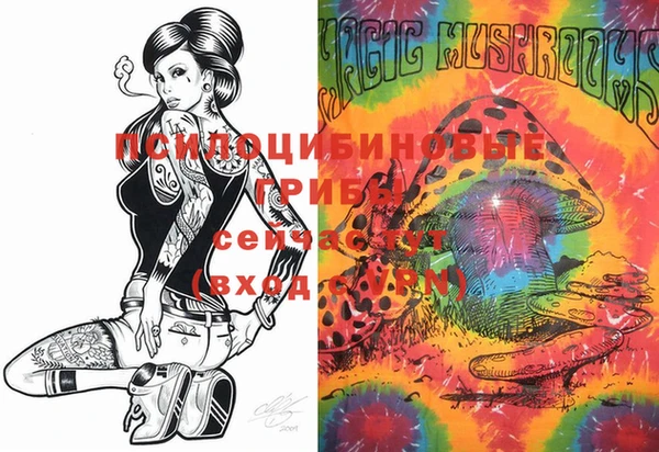 PSILOCYBIN Ладушкин