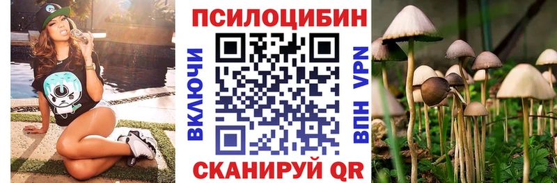 Псилоцибиновые грибы Psilocybe  Купить где  Инза 