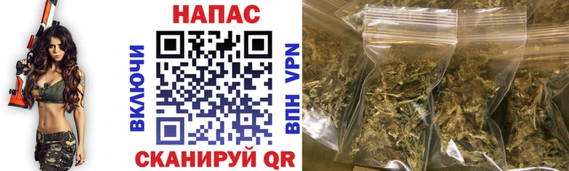 Купить где  Инза  Каннабис индика 